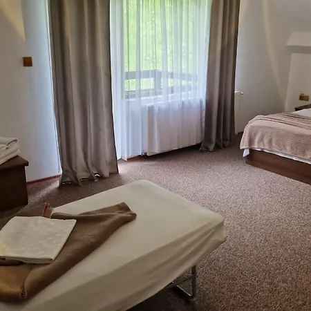 Pensiunea Bradul,Moieciu de Sus-3