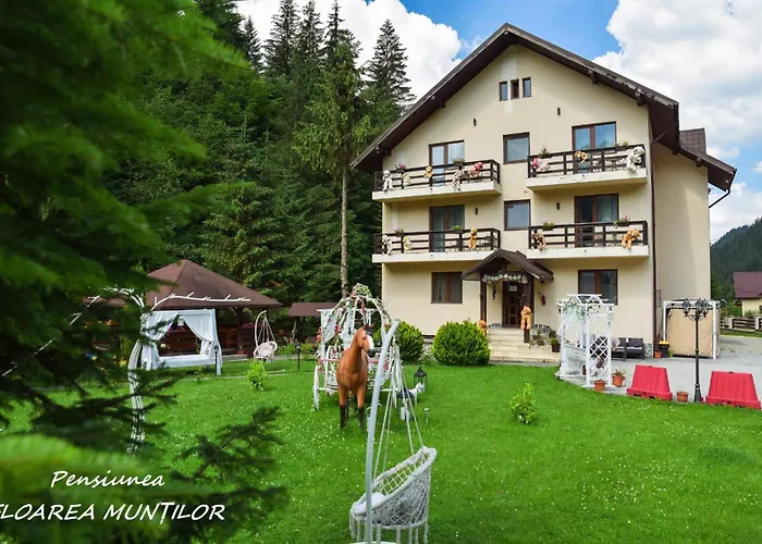 Pensiunea Floarea Munților Moeciu De Sus